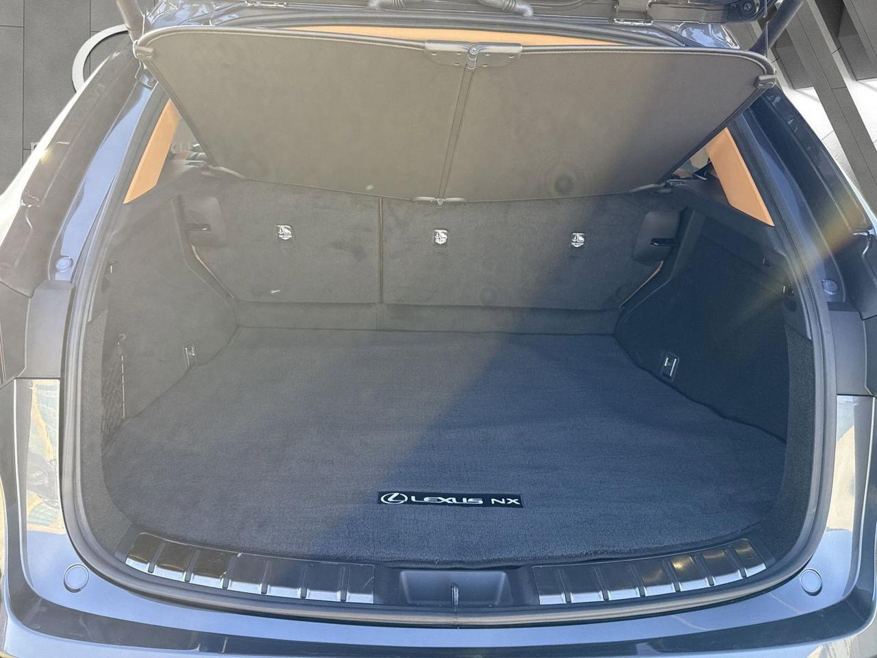 2025 Lexus NX 250 San Antonio TX