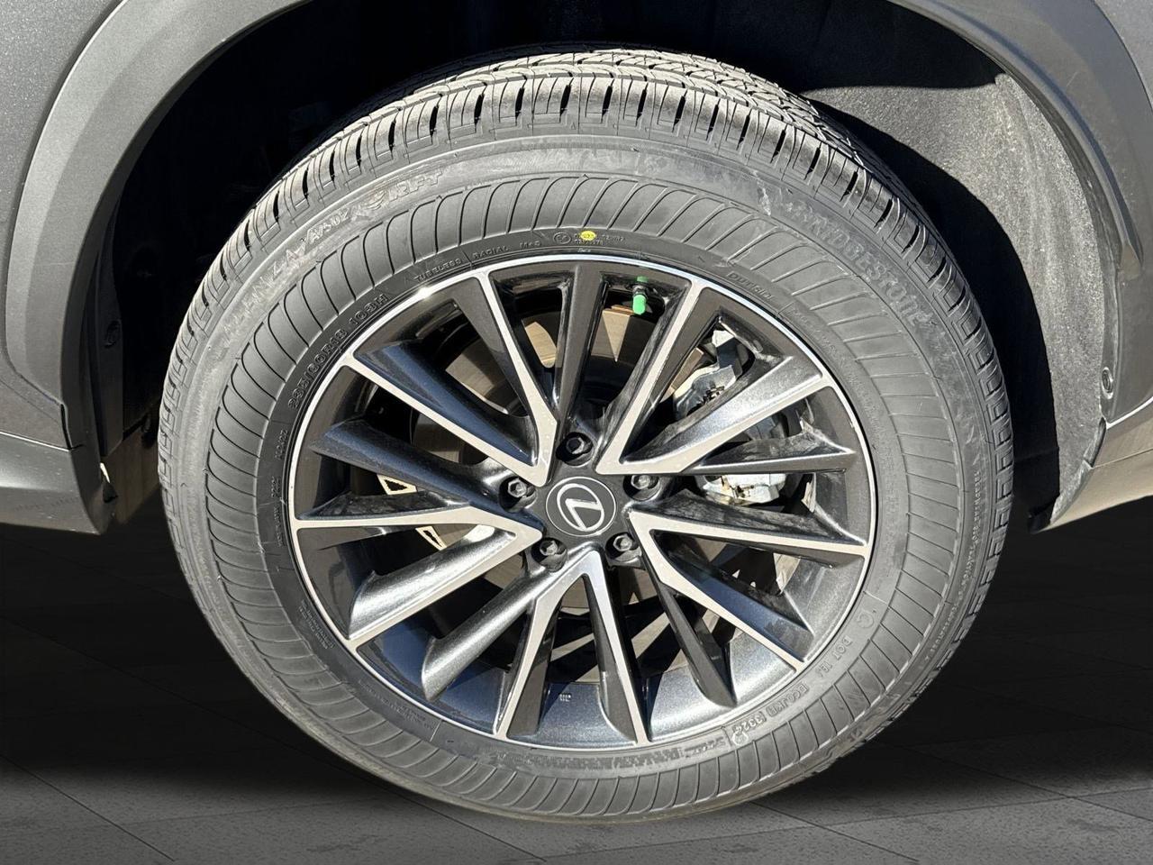 2025 Lexus NX 250 San Antonio TX