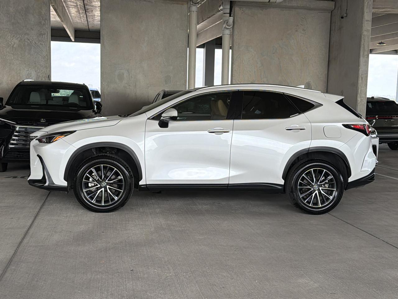 2025 Lexus NX 250