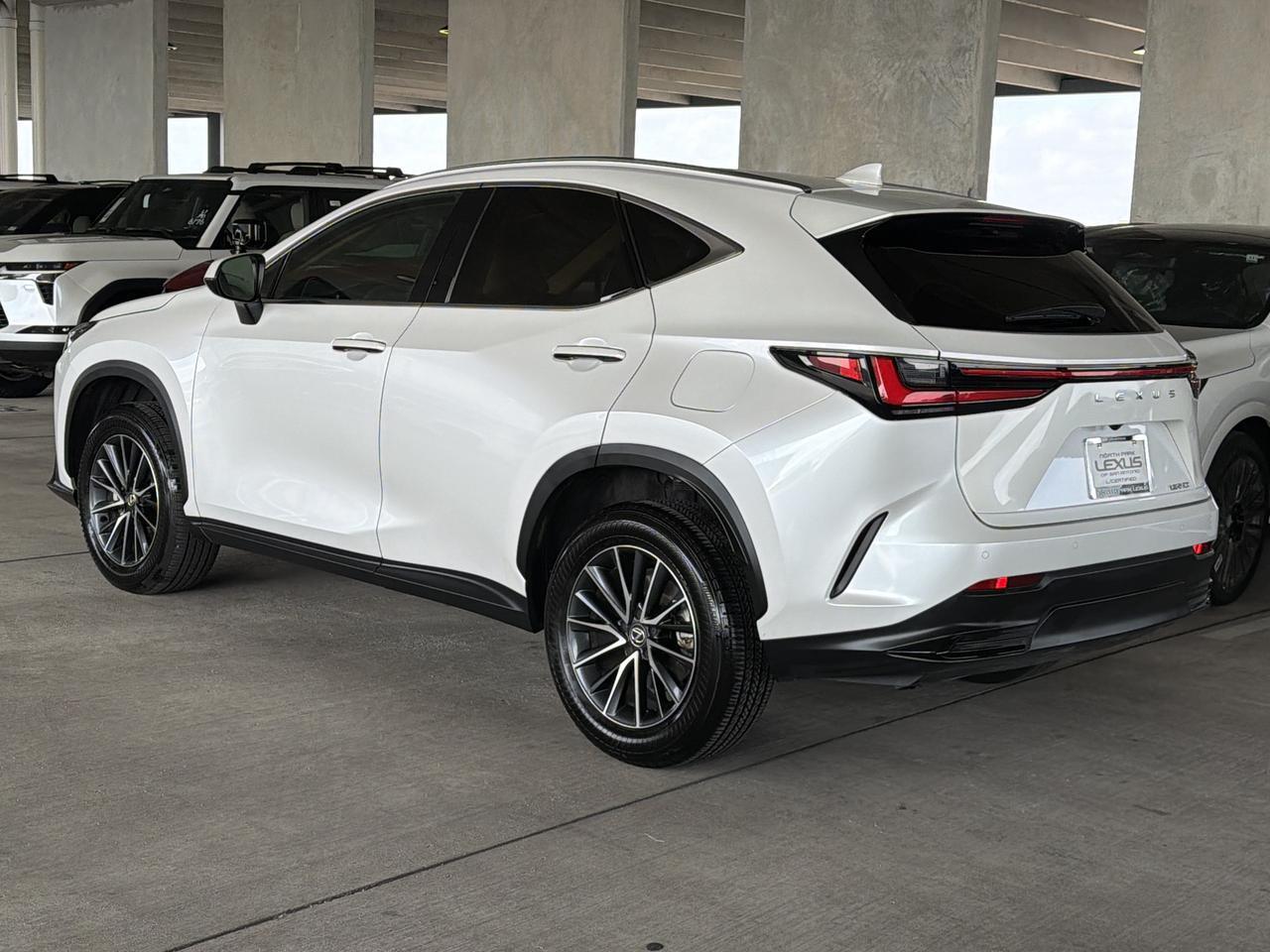 2025 Lexus NX 250