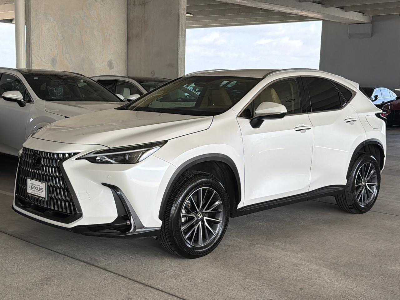 2025 Lexus NX 250