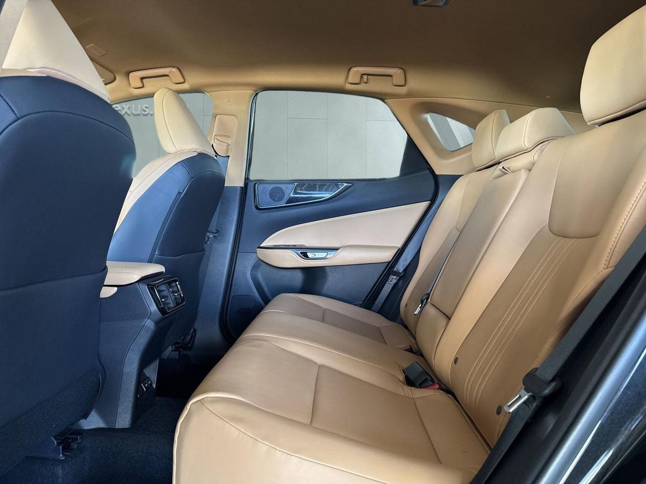 2025 Lexus NX 250 San Antonio TX