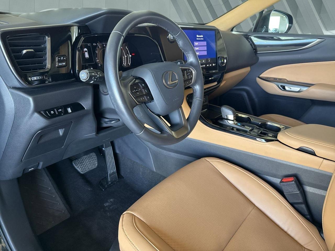 2025 Lexus NX 250 San Antonio TX