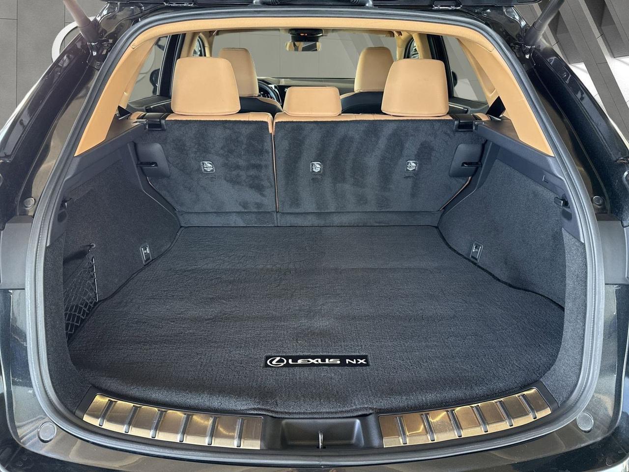 2025 Lexus NX 250 San Antonio TX