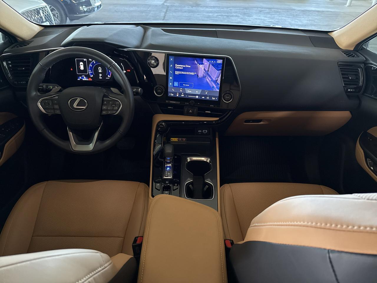2025 Lexus NX 250 San Antonio TX