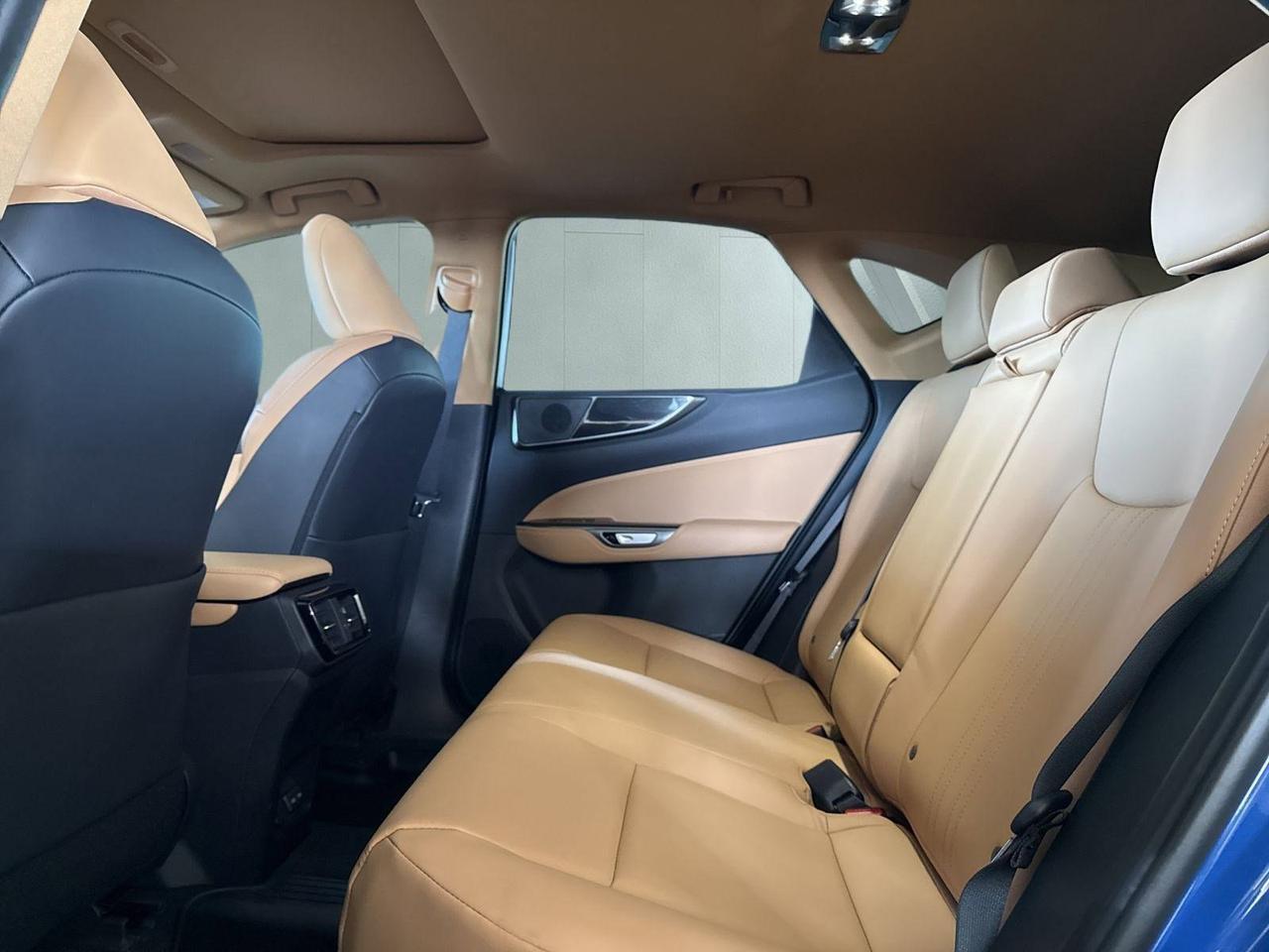 2025 Lexus NX 250 San Antonio TX