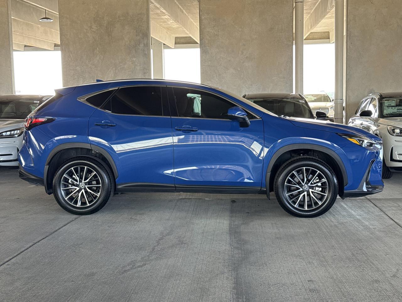 2025 Lexus NX 250 San Antonio TX