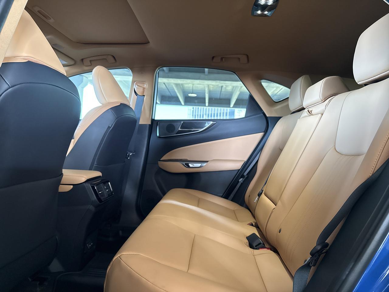 2025 Lexus NX 250 San Antonio TX