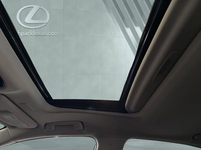 2025 Lexus NX 250 San Antonio TX