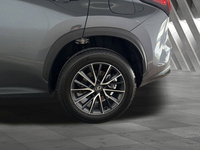 2025 Lexus NX 250 San Antonio TX