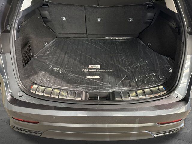 2025 Lexus NX 250 San Antonio TX