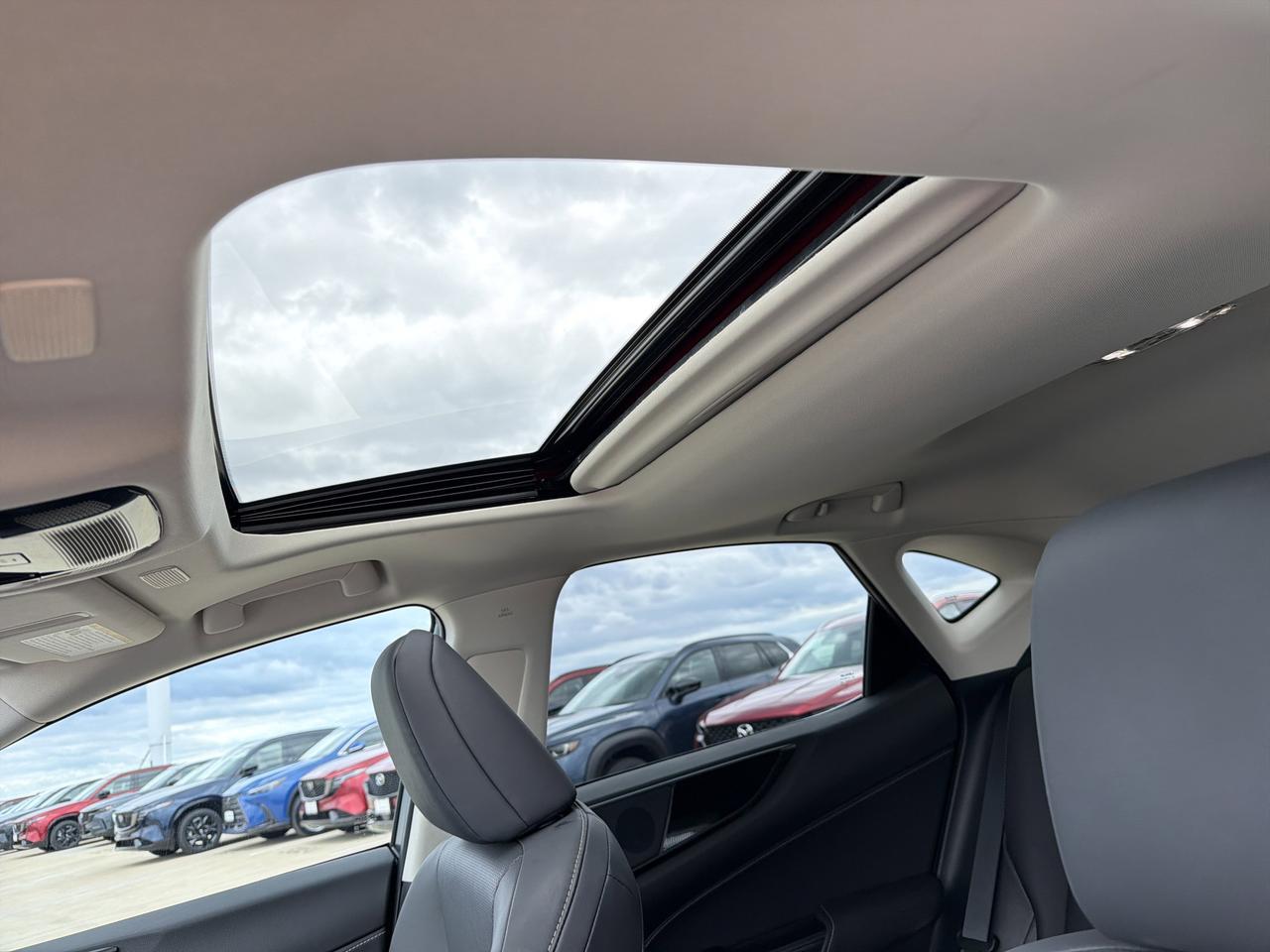 2025 Lexus NX 250 San Antonio TX