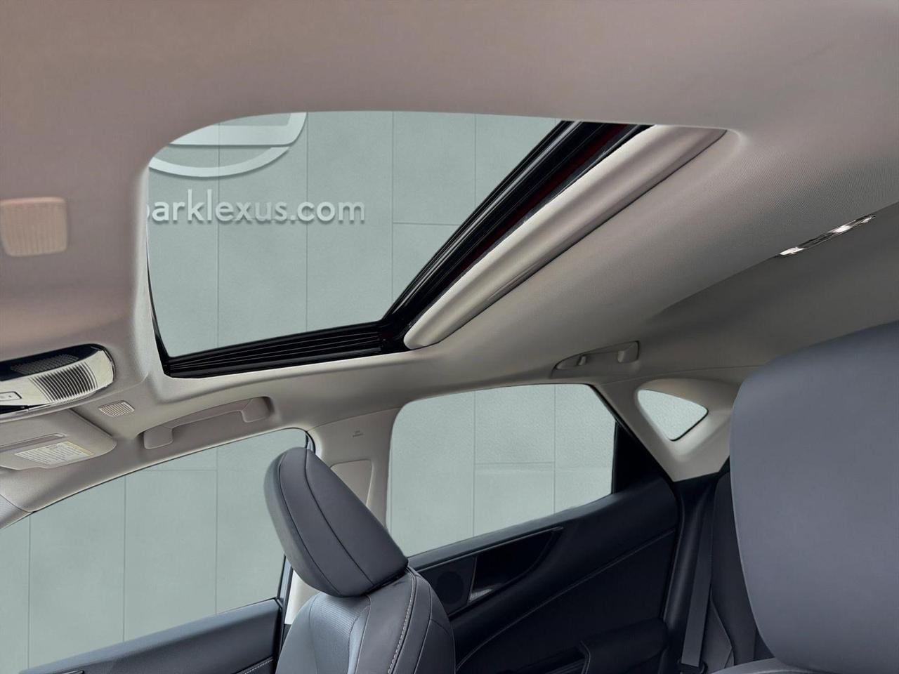 2025 Lexus NX 250 San Antonio TX