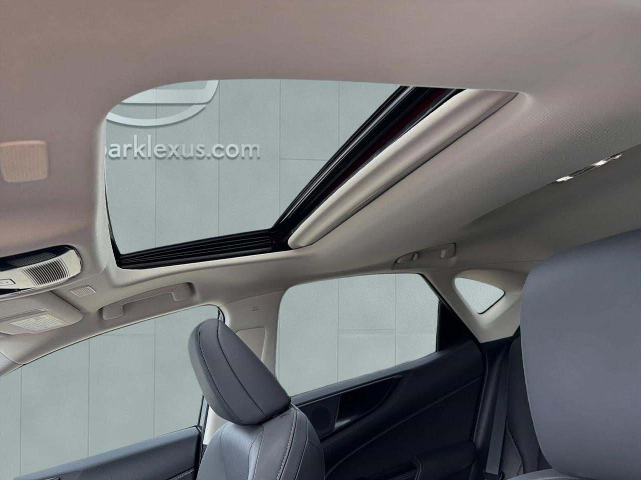 2025 Lexus NX 250 San Antonio TX