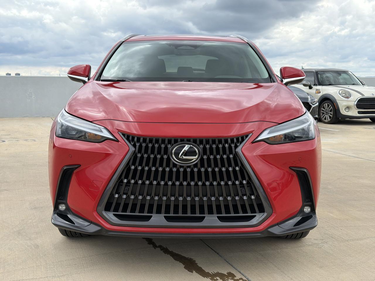 2025 Lexus NX 250 San Antonio TX