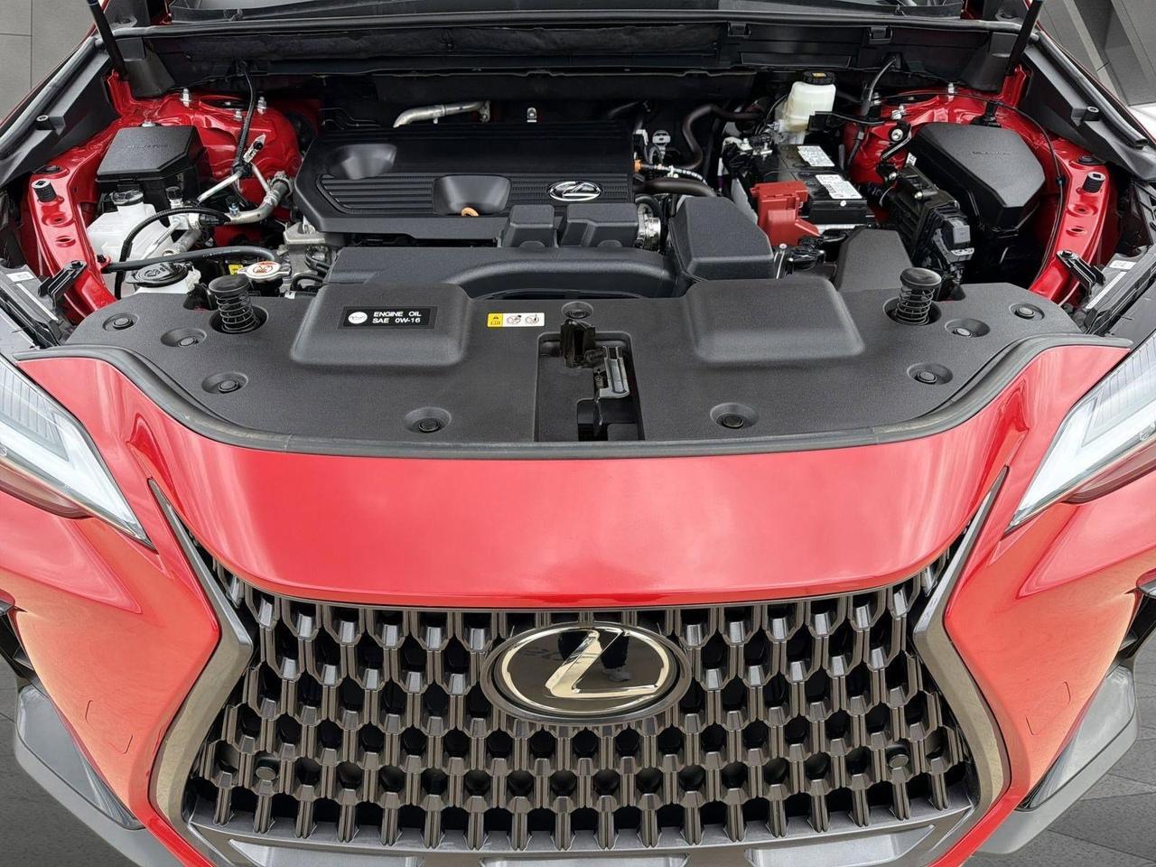 2025 Lexus NX 250 San Antonio TX