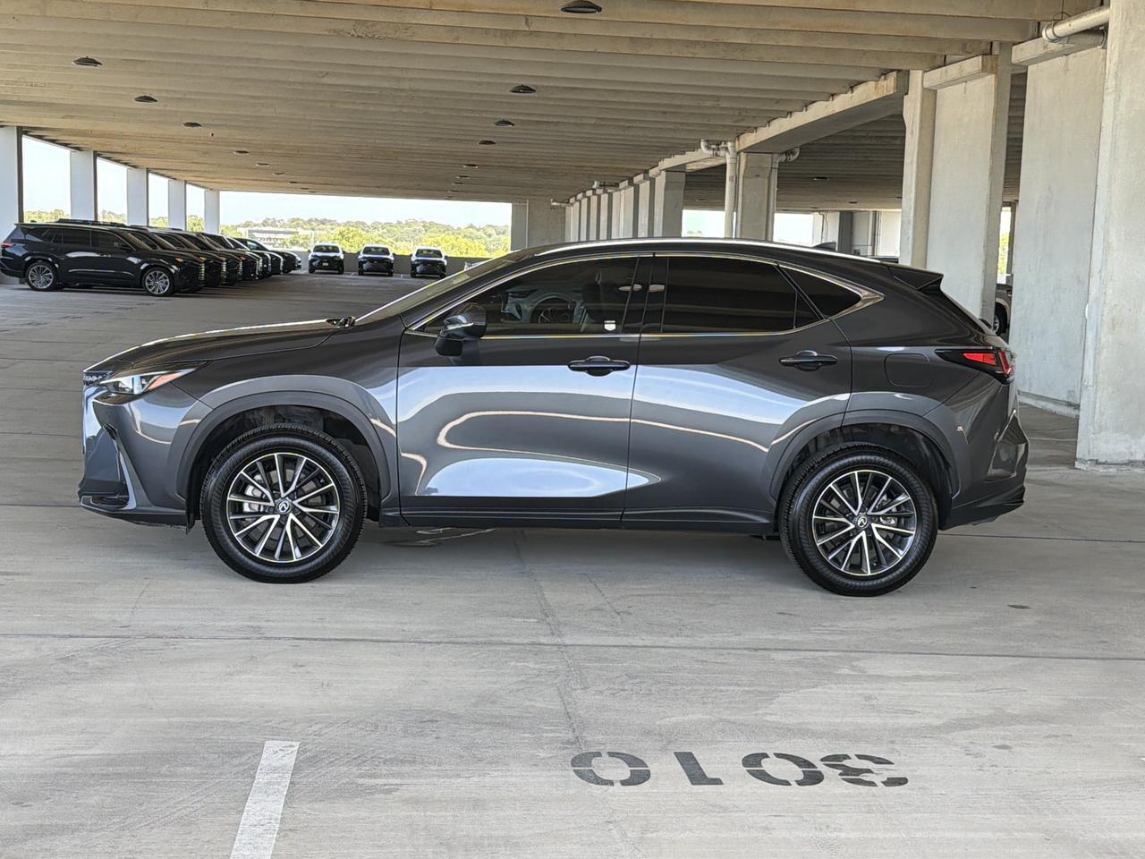 2025 Lexus NX 250