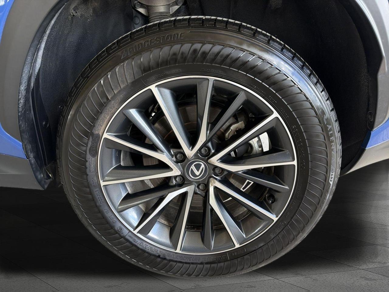 2025 Lexus NX 250 San Antonio TX