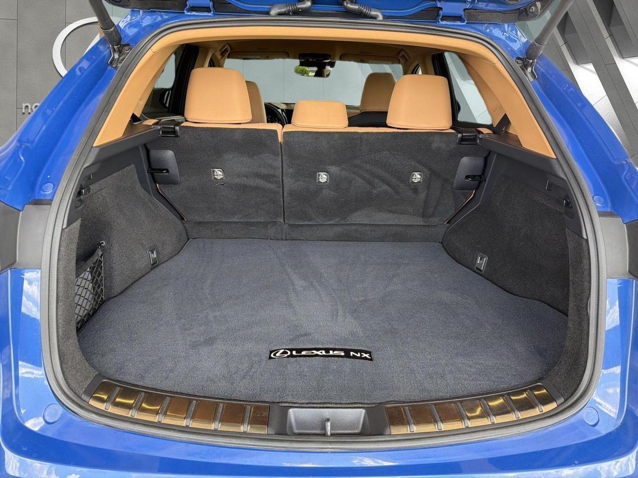 2025 Lexus NX 250 San Antonio TX