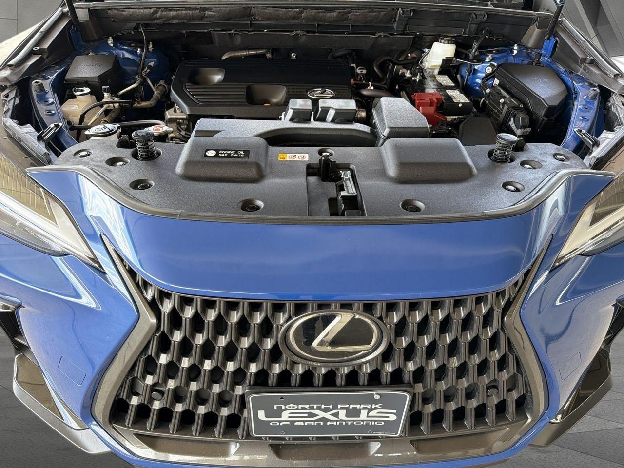 2025 Lexus NX 250 San Antonio TX