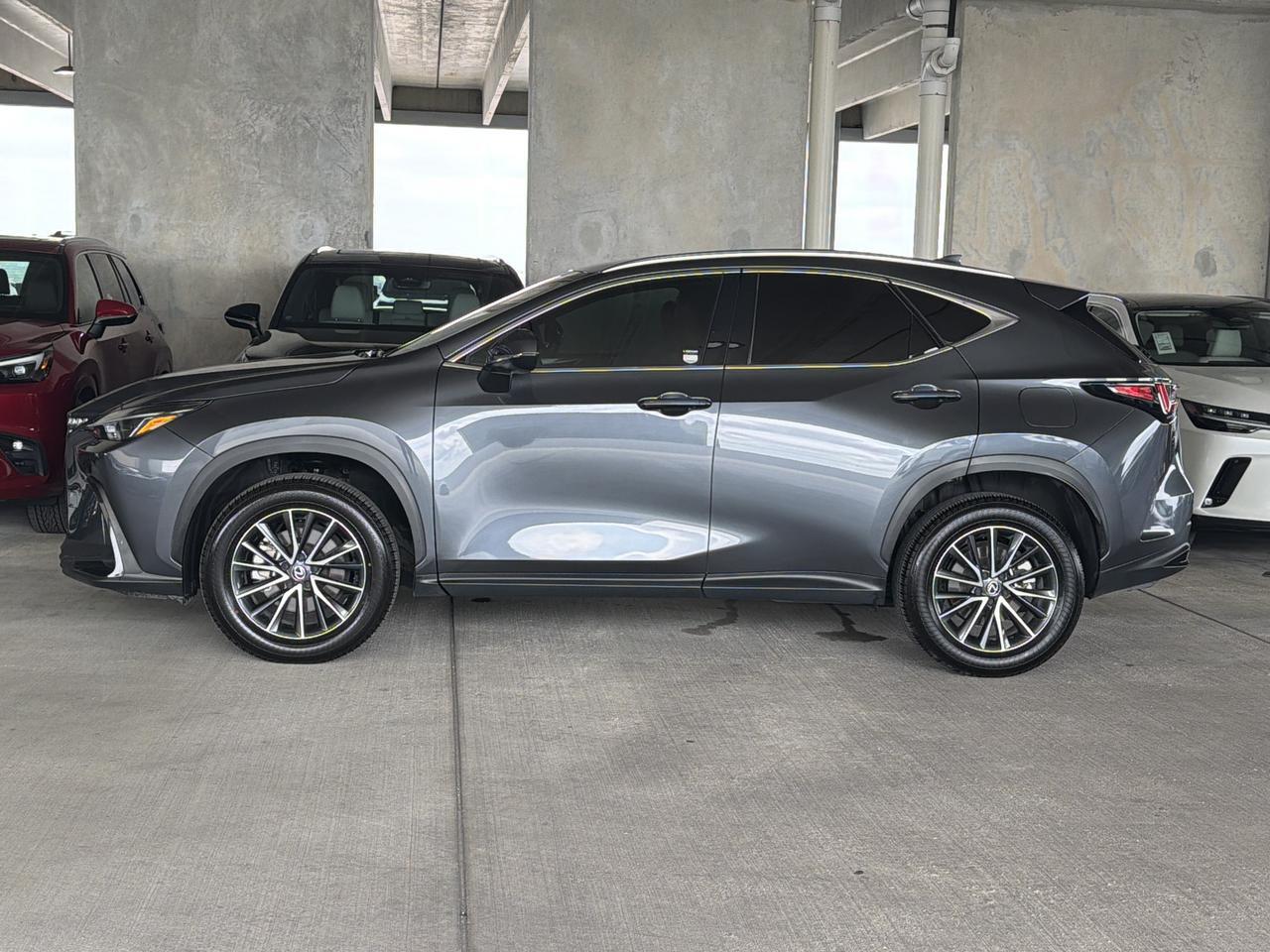2025 Lexus NX 250