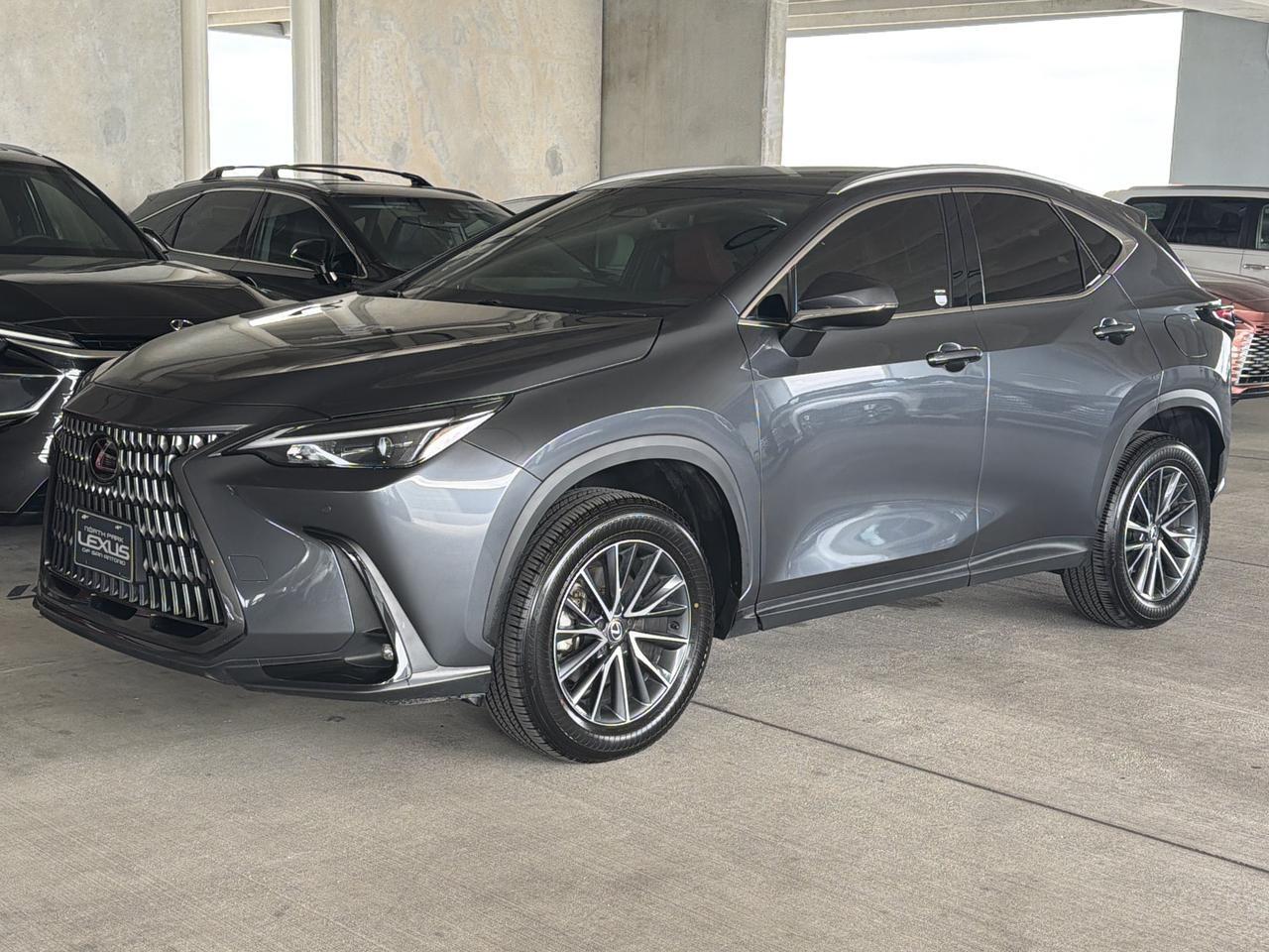 2025 Lexus NX 250