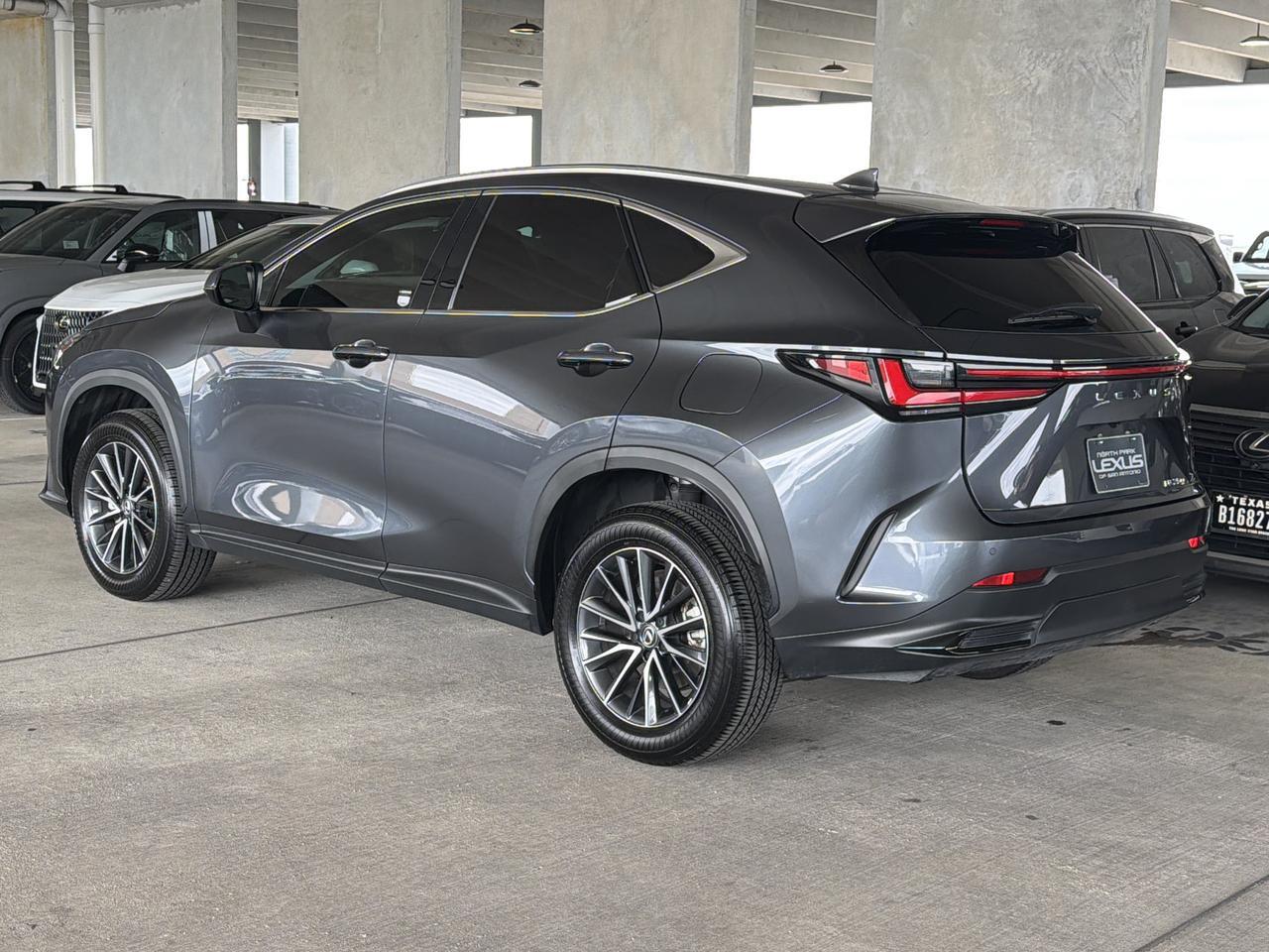 2025 Lexus NX 250