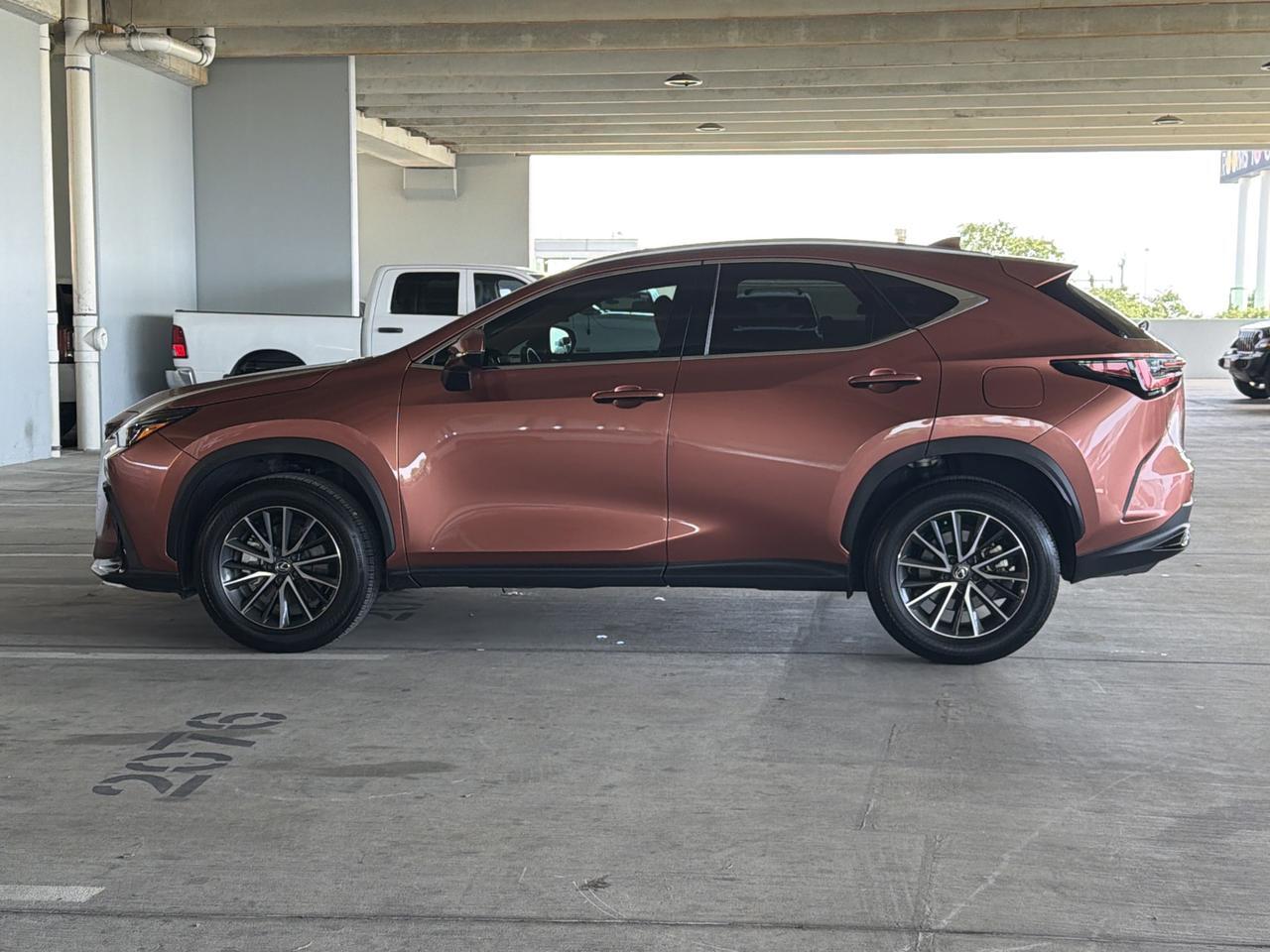 2025 Lexus NX 250