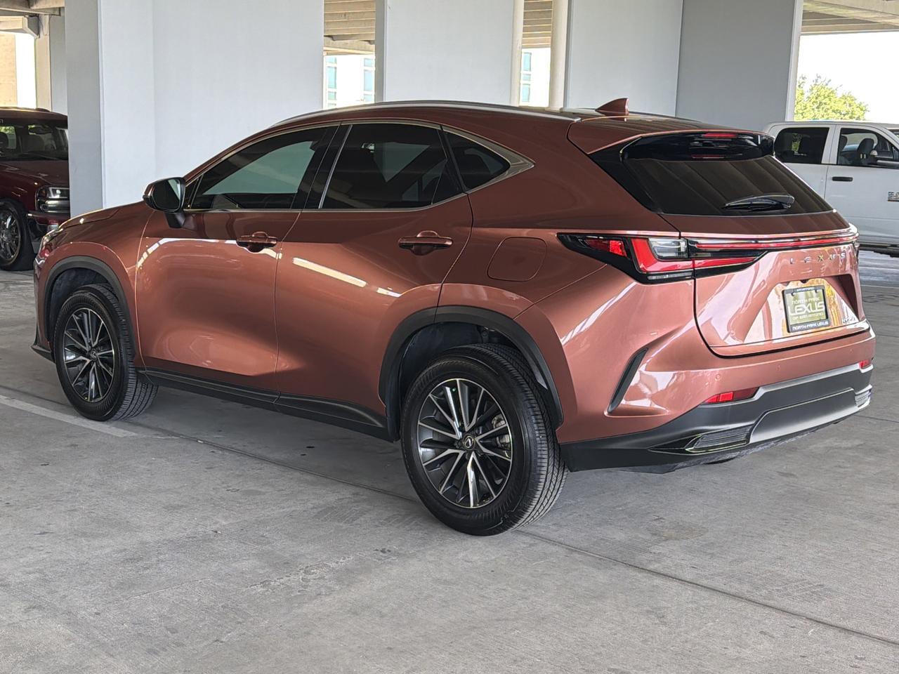 2025 Lexus NX 250