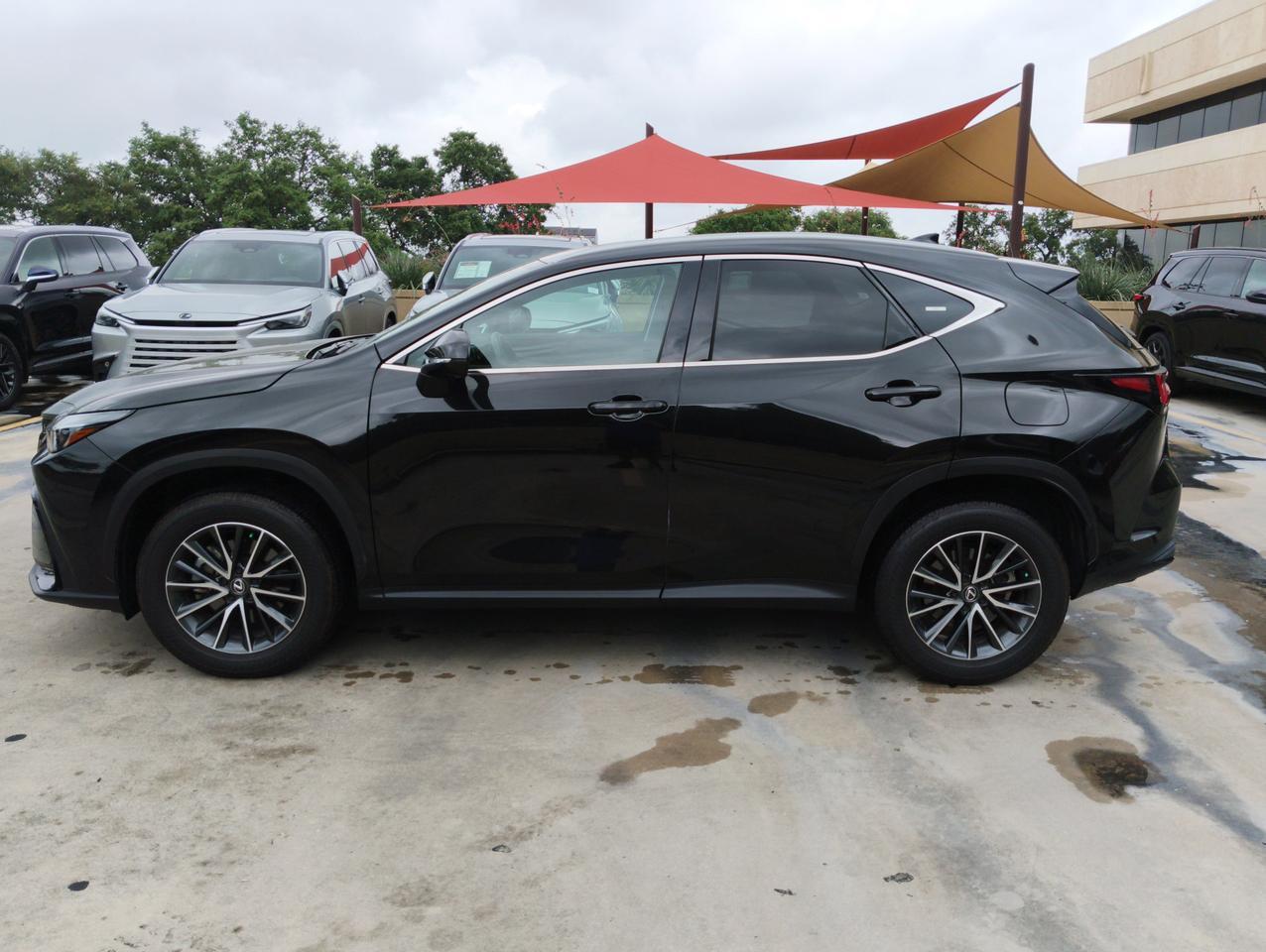 2025 Lexus NX