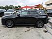2025 Lexus NX 250