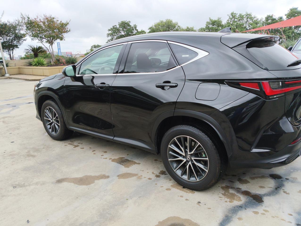 2025 Lexus NX 250 San Antonio TX