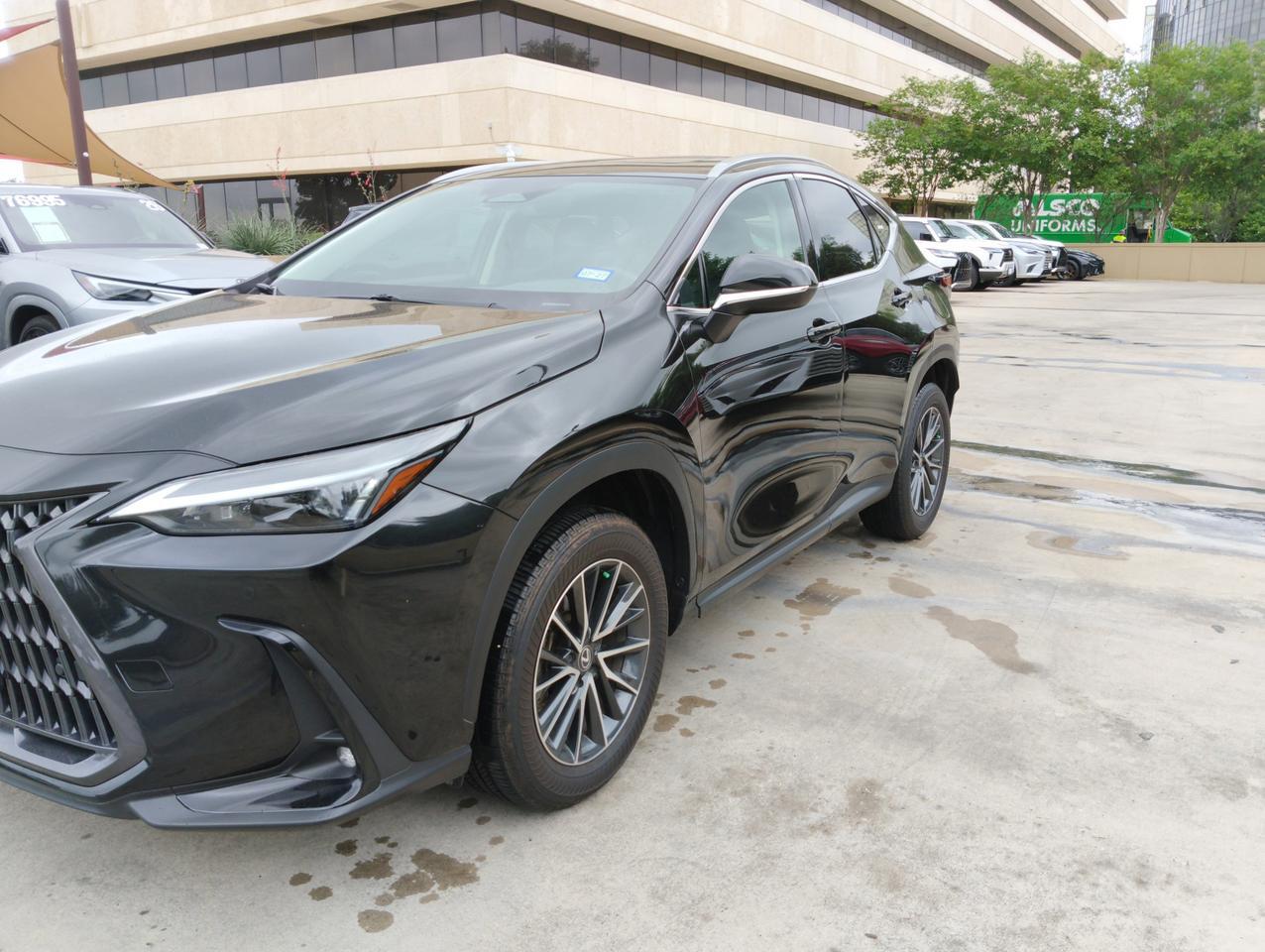2025 Lexus NX 250 San Antonio TX