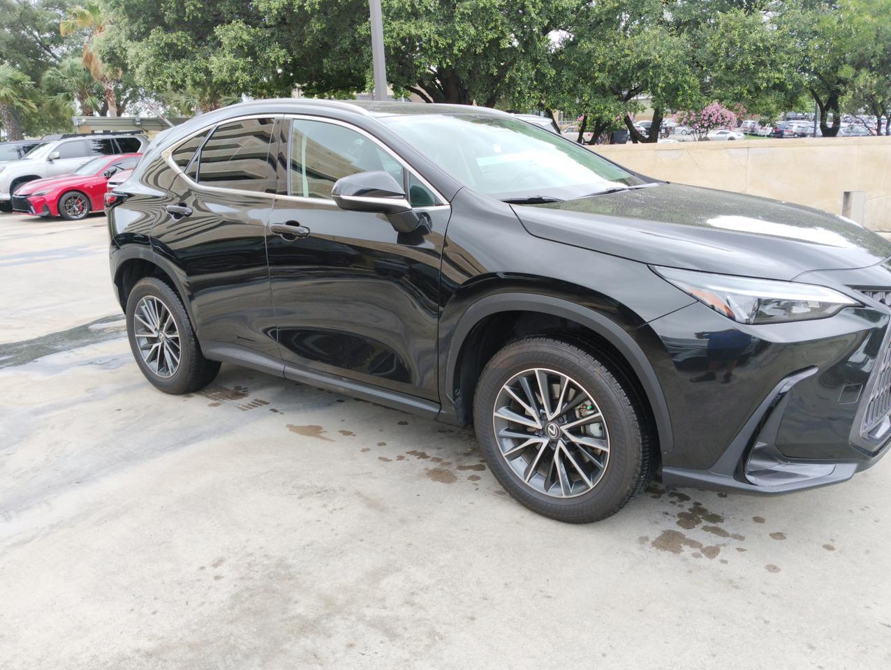 2025 Lexus NX 250 San Antonio TX