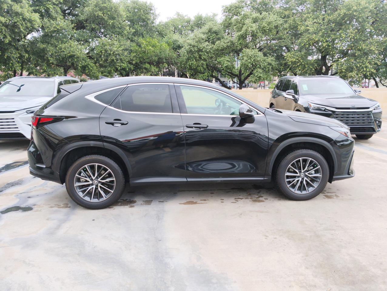 2025 Lexus NX 250 San Antonio TX