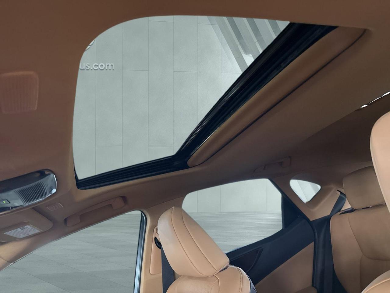 2025 Lexus NX 250 San Antonio TX