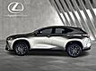 2025 Lexus NX 250