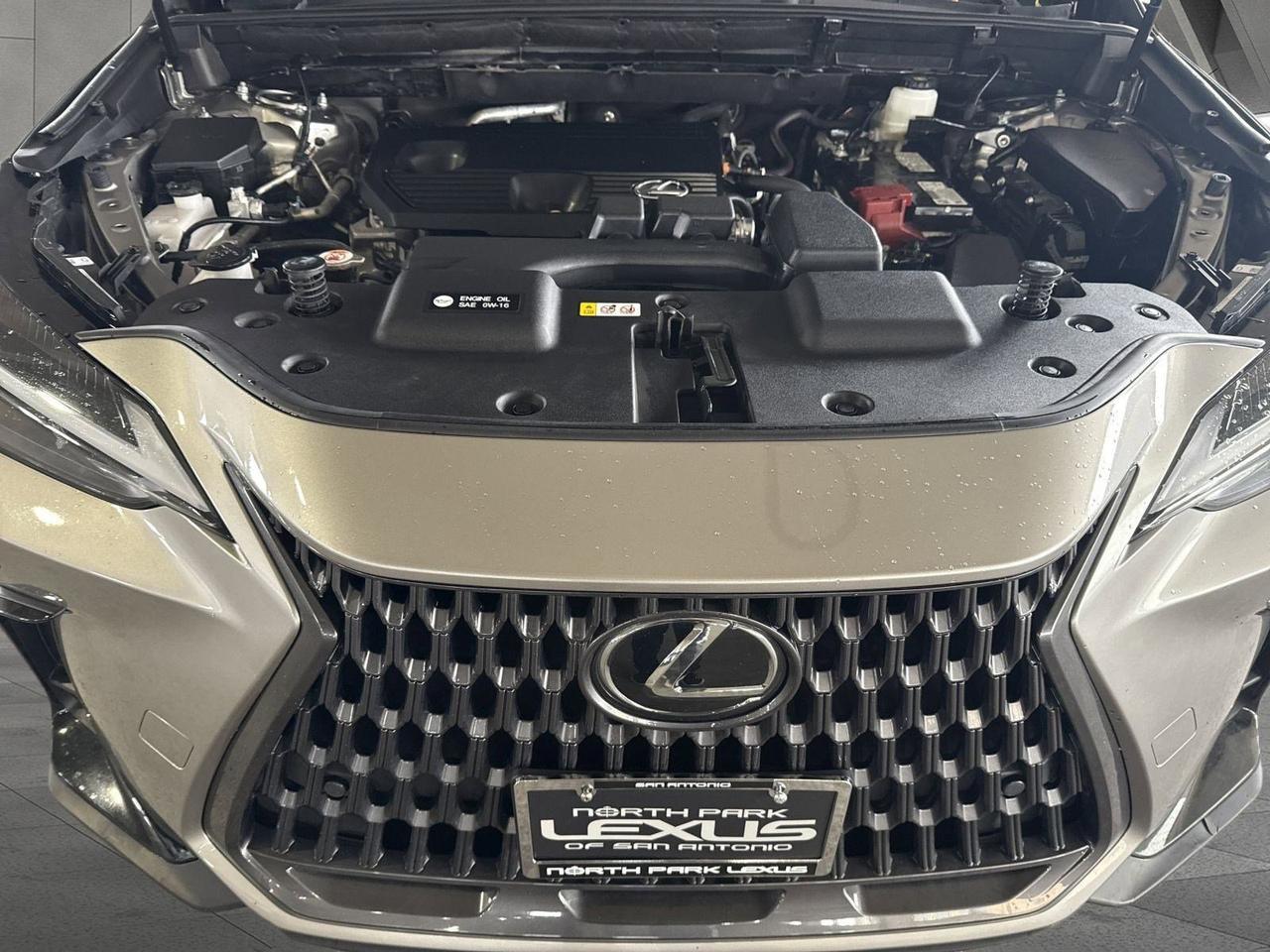2025 Lexus NX 250 San Antonio TX