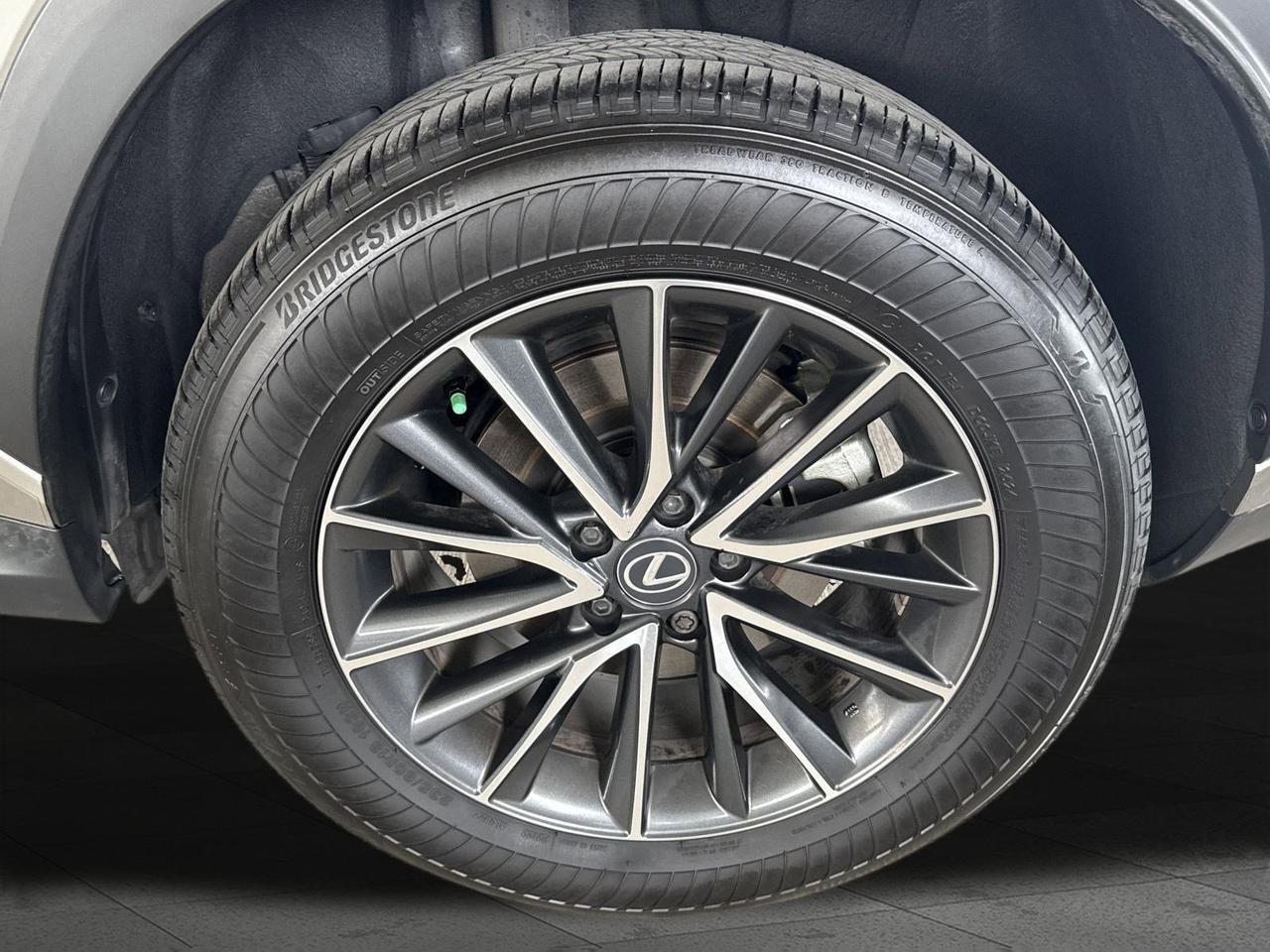 2025 Lexus NX 250 San Antonio TX