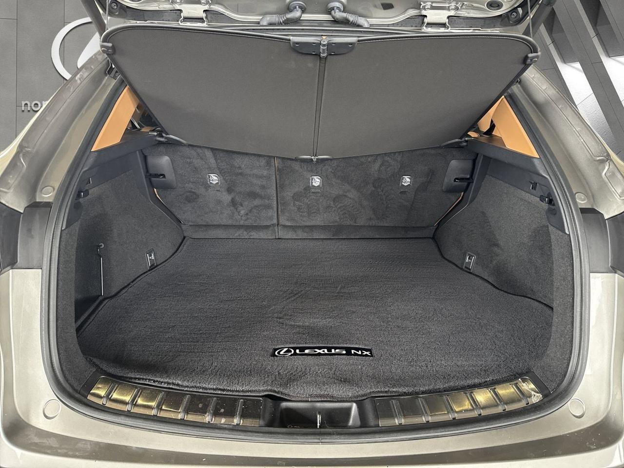 2025 Lexus NX 250 San Antonio TX