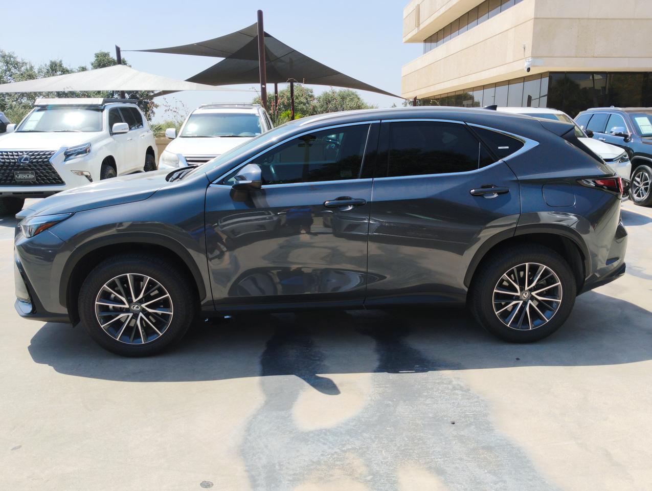 2025 Lexus NX 250