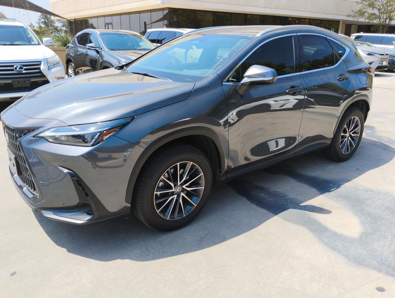 2025 Lexus NX 250