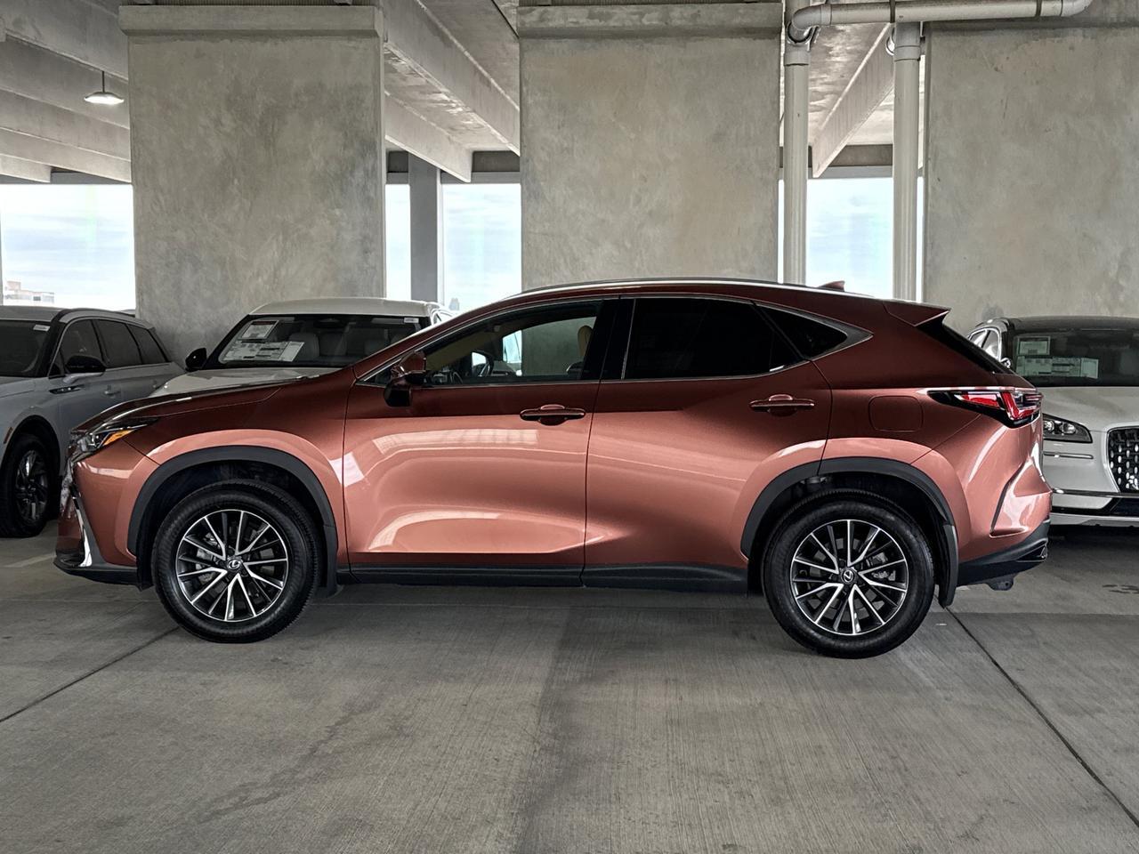 2025 Lexus NX