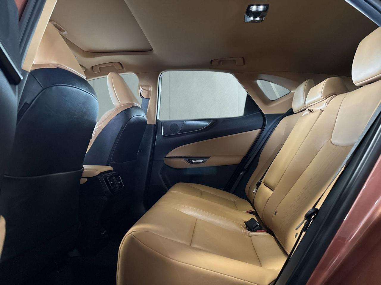 2025 Lexus NX 250 San Antonio TX