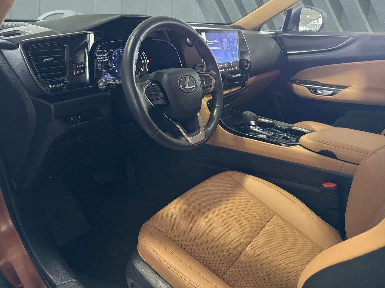 2025 Lexus NX 250 San Antonio TX