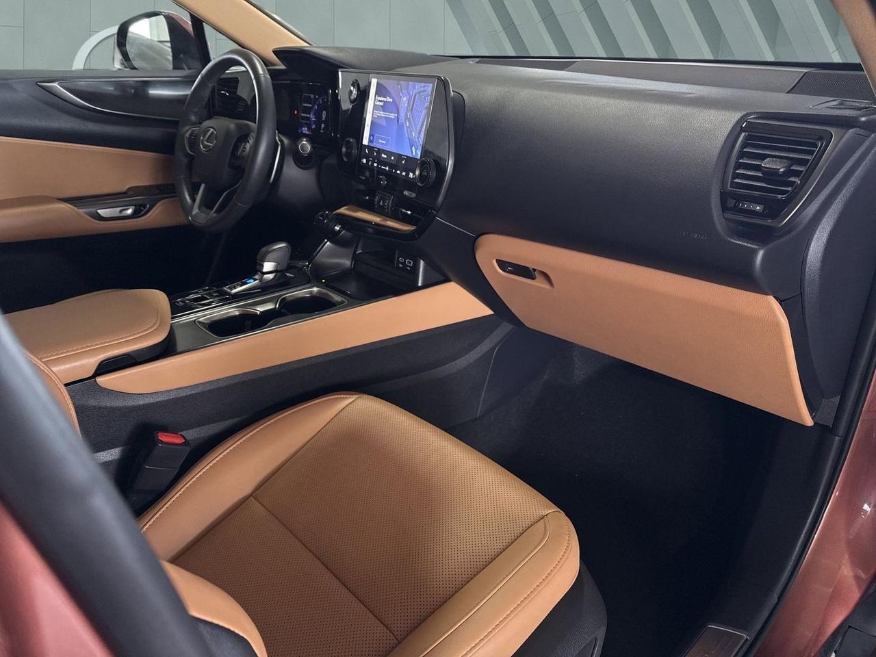 2025 Lexus NX 250 San Antonio TX