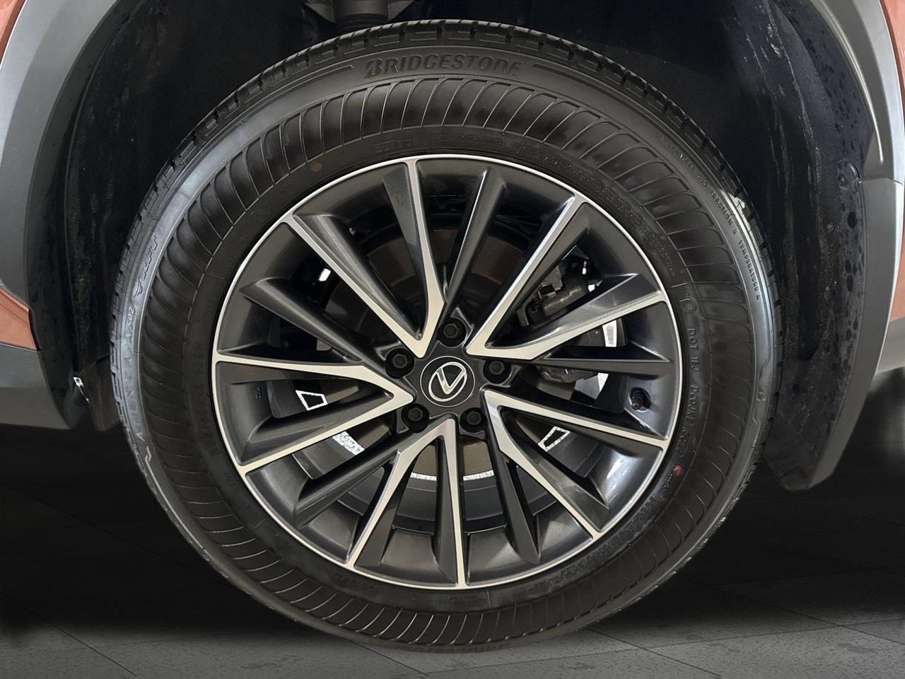 2025 Lexus NX 250 San Antonio TX