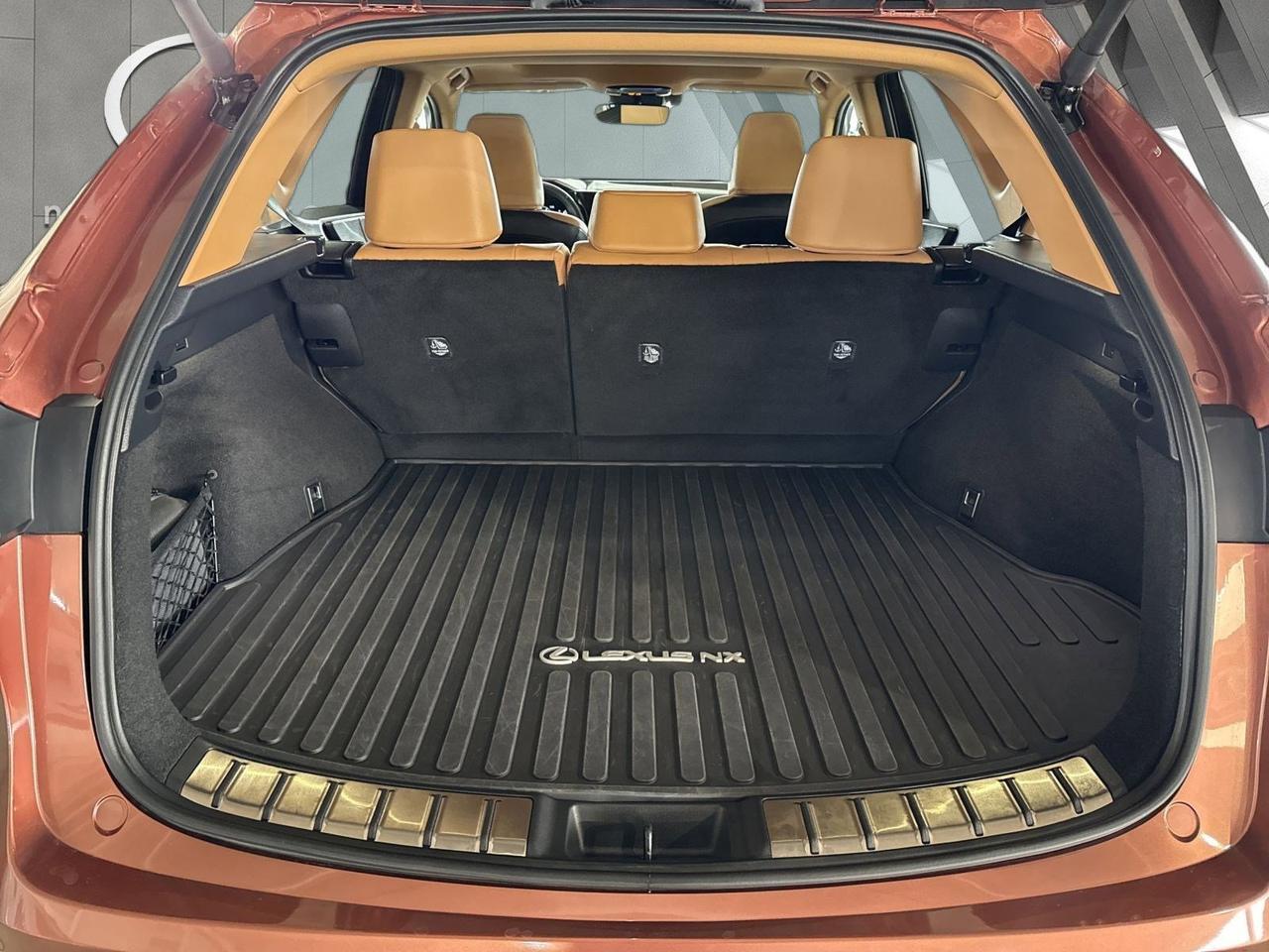 2025 Lexus NX 250 San Antonio TX