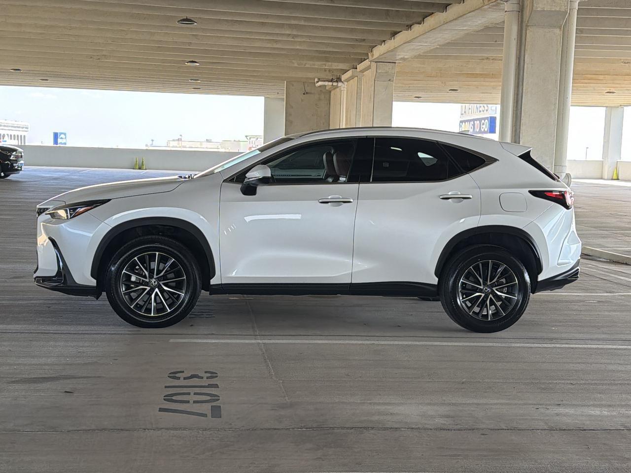 2025 Lexus NX 250