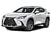 2025 Lexus NX 250